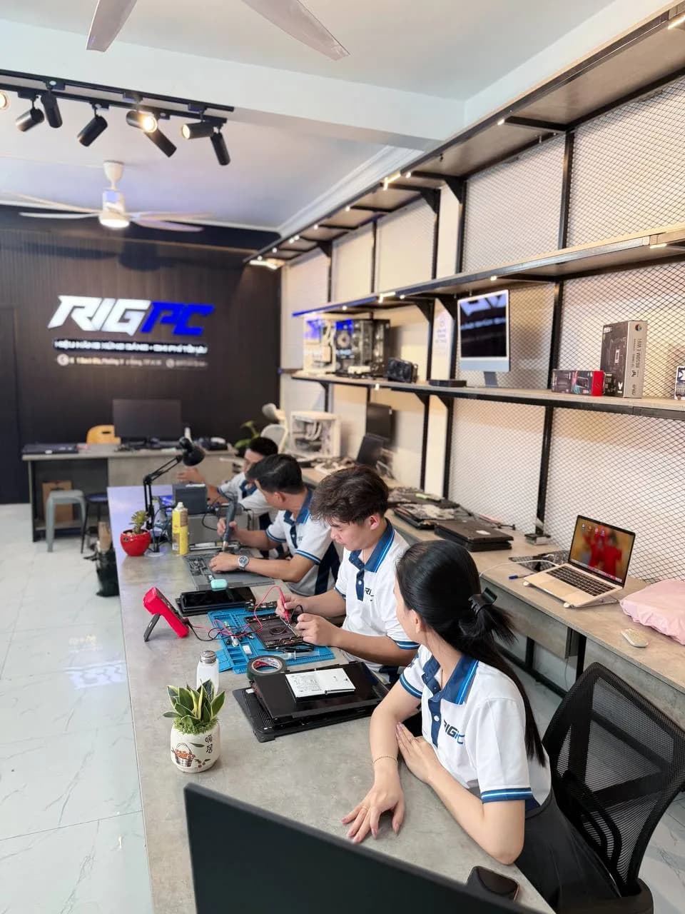 Showroom RIGPC — showroom RIGPC TP.HCM